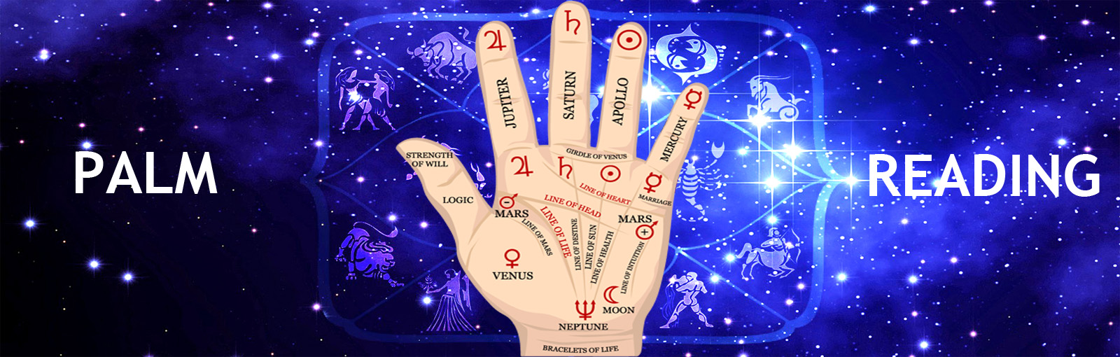 Famous Palm Reading Specialist in USA
